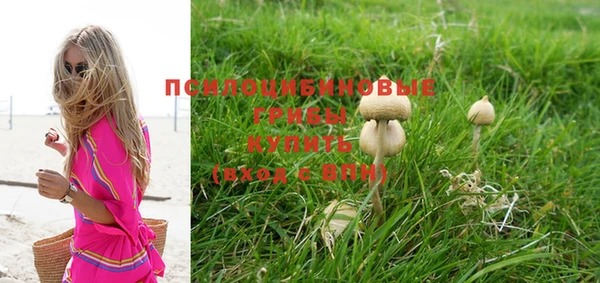 прущая мука Богородицк