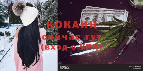 прущая мука Богородицк